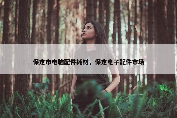 保定市电脑配件耗材，保定电子配件市场