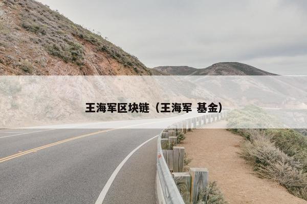 王海军区块链（王海军 基金）
