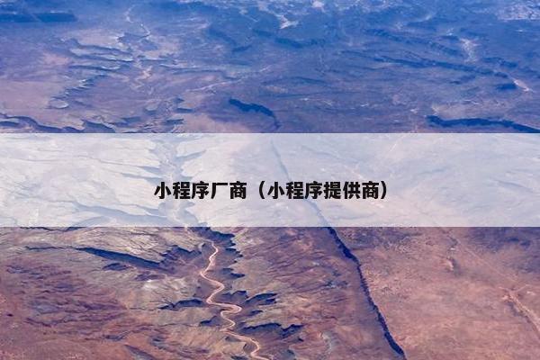 小程序厂商（小程序提供商）