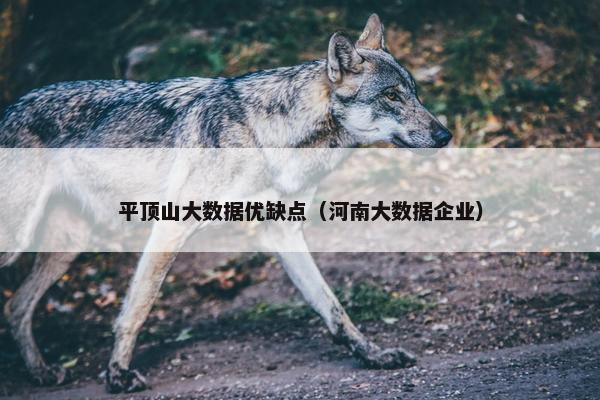 平顶山大数据优缺点（河南大数据企业）