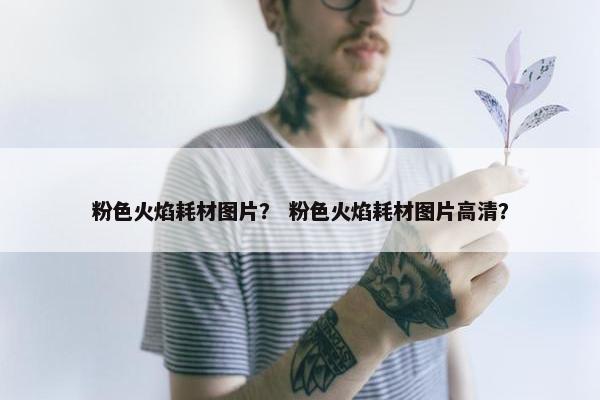 粉色火焰耗材图片？ 粉色火焰耗材图片高清？