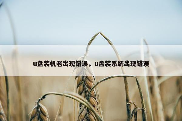 u盘装机老出现错误，u盘装系统出现错误