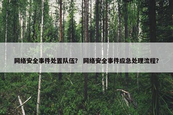 网络安全事件处置队伍？ 网络安全事件应急处理流程？