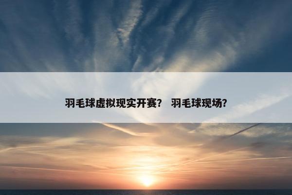 羽毛球虚拟现实开赛？ 羽毛球现场？