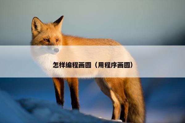 怎样编程画圆（用程序画圆）