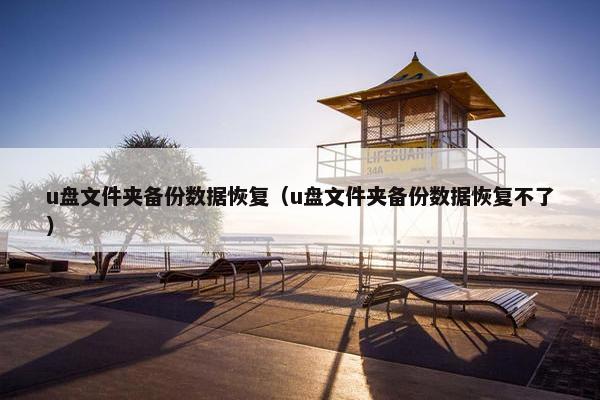 u盘文件夹备份数据恢复（u盘文件夹备份数据恢复不了）