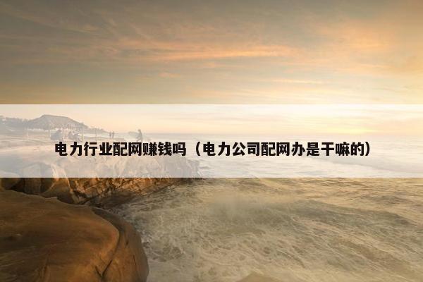 电力行业配网赚钱吗（电力公司配网办是干嘛的）