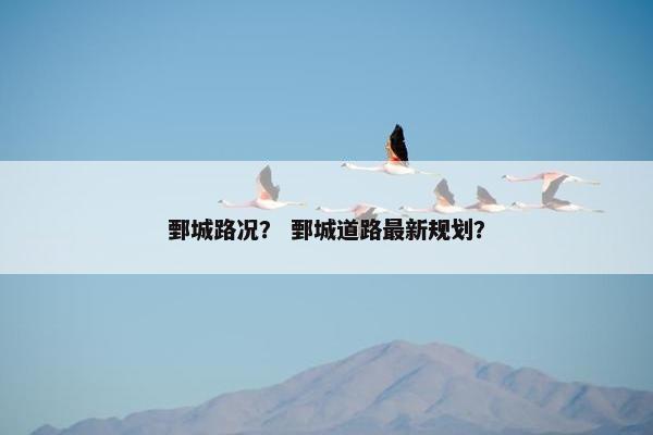 鄄城路况？ 鄄城道路最新规划？