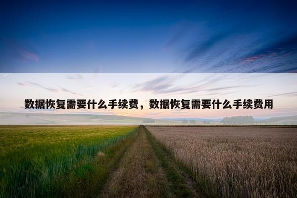 数据恢复需要什么手续费，数据恢复需要什么手续费用