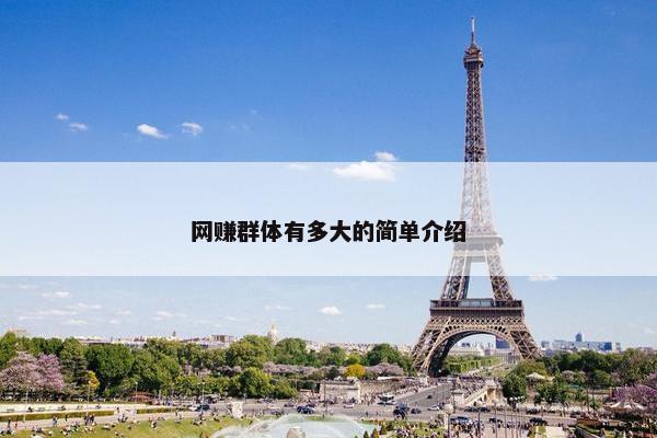 网赚群体有多大的简单介绍