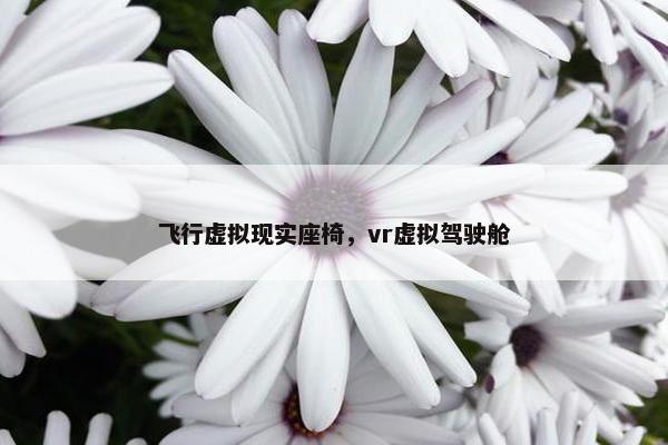 飞行虚拟现实座椅，vr虚拟驾驶舱