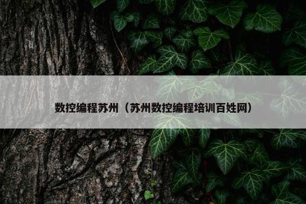 数控编程苏州（苏州数控编程培训百姓网）