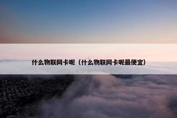 什么物联网卡呢（什么物联网卡呢最便宜）