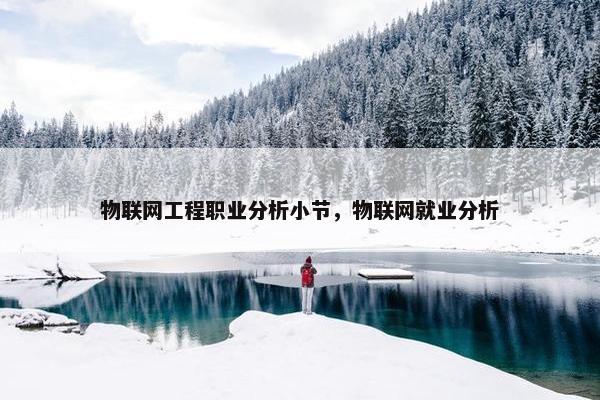 物联网工程职业分析小节，物联网就业分析