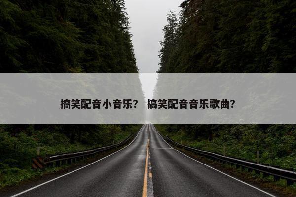 搞笑配音小音乐？ 搞笑配音音乐歌曲？