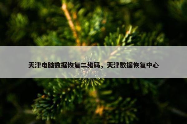 天津电脑数据恢复二维码，天津数据恢复中心