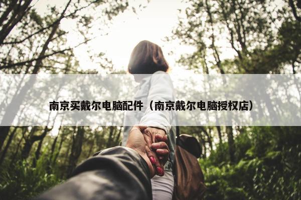 南京买戴尔电脑配件（南京戴尔电脑授权店）