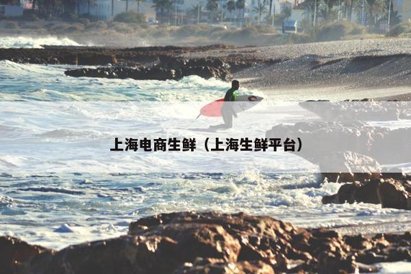 上海电商生鲜（上海生鲜平台）