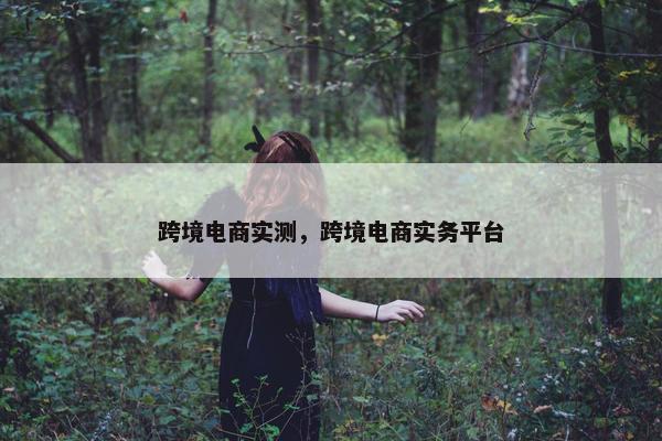 跨境电商实测，跨境电商实务平台