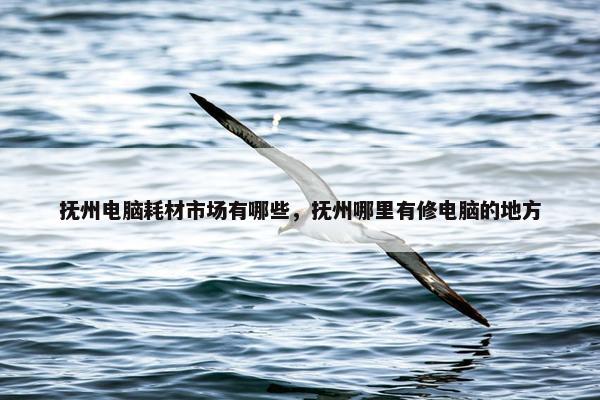 抚州电脑耗材市场有哪些，抚州哪里有修电脑的地方