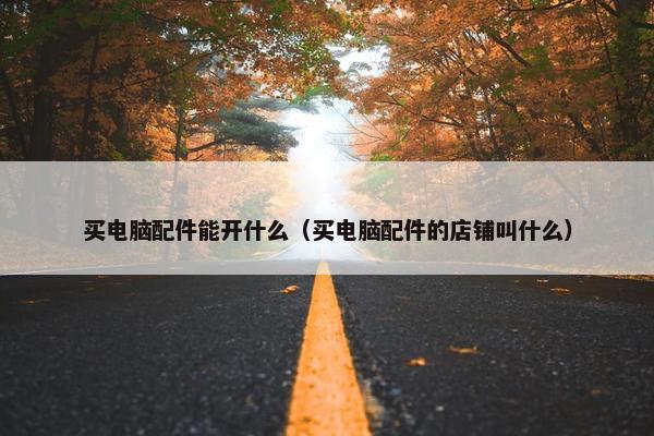 买电脑配件能开什么（买电脑配件的店铺叫什么）