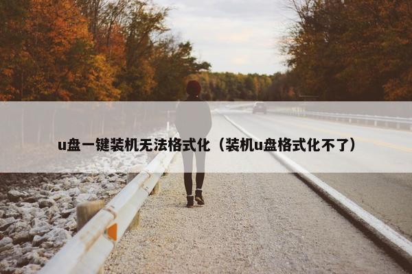 u盘一键装机无法格式化（装机u盘格式化不了）