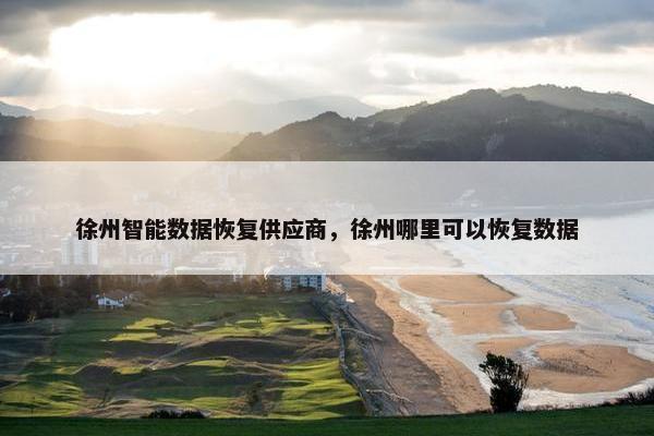 徐州智能数据恢复供应商，徐州哪里可以恢复数据