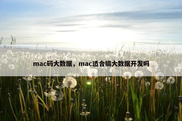 mac码大数据，mac适合搞大数据开发吗