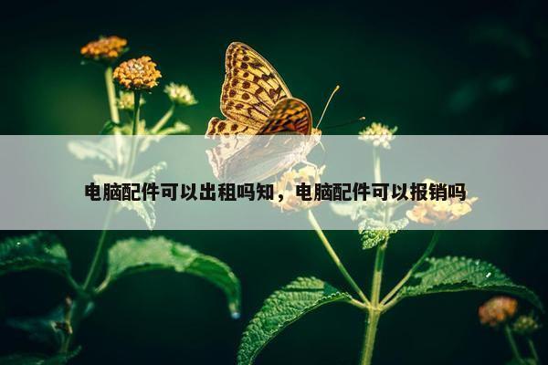 电脑配件可以出租吗知，电脑配件可以报销吗