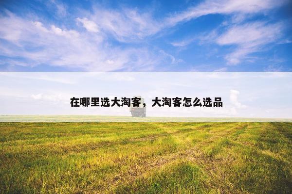 在哪里选大淘客，大淘客怎么选品