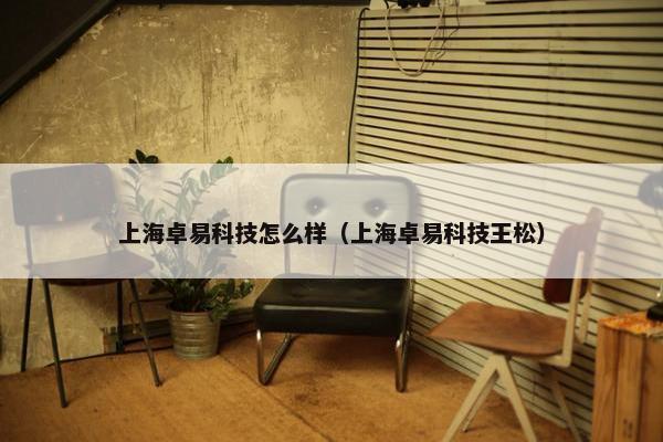 上海卓易科技怎么样（上海卓易科技王松）