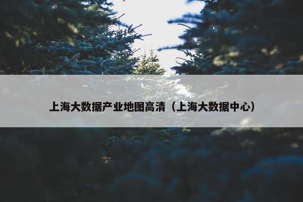 上海大数据产业地图高清（上海大数据中心）