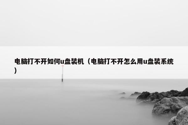 电脑打不开如何u盘装机（电脑打不开怎么用u盘装系统）