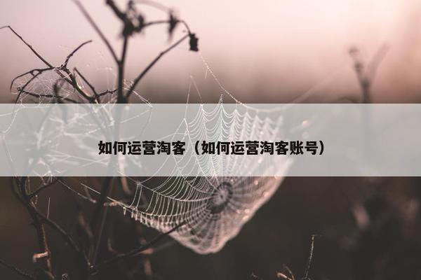 如何运营淘客（如何运营淘客账号）
