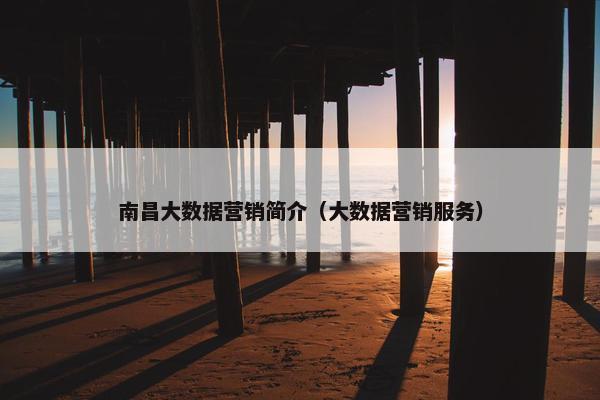 南昌大数据营销简介（大数据营销服务）