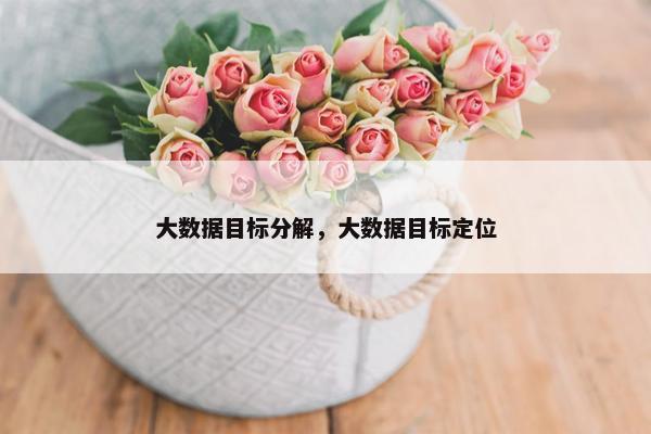 大数据目标分解，大数据目标定位