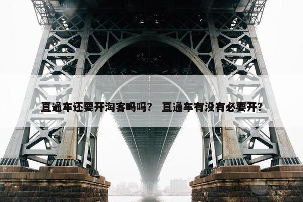 直通车还要开淘客吗吗？ 直通车有没有必要开？