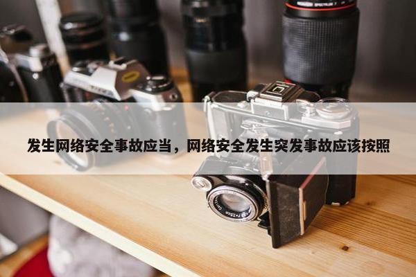 发生网络安全事故应当，网络安全发生突发事故应该按照