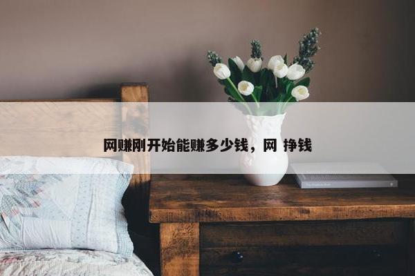 网赚刚开始能赚多少钱，网 挣钱