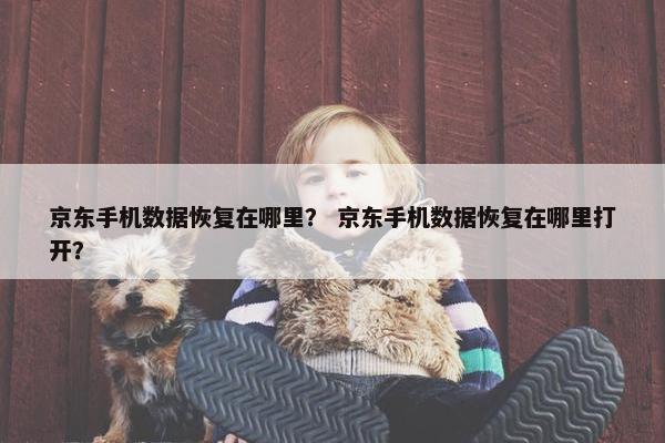 京东手机数据恢复在哪里？ 京东手机数据恢复在哪里打开？