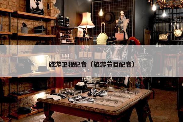 旅游卫视配音（旅游节目配音）