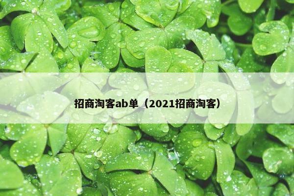 招商淘客ab单（2021招商淘客）