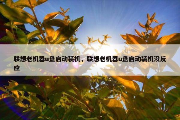 联想老机器u盘启动装机，联想老机器u盘启动装机没反应