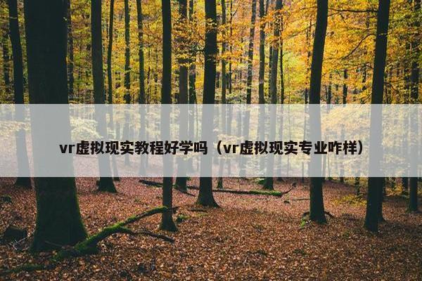 vr虚拟现实教程好学吗（vr虚拟现实专业咋样）