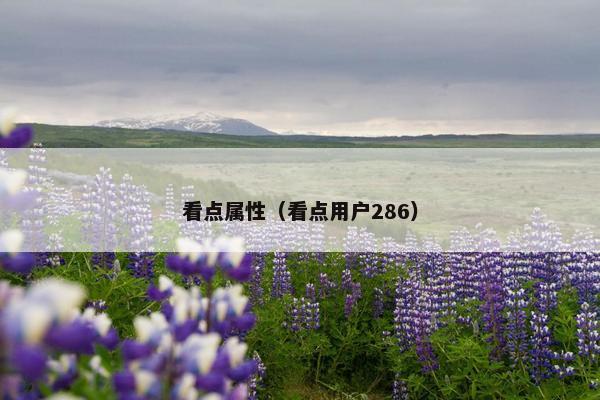 看点属性（看点用户286）