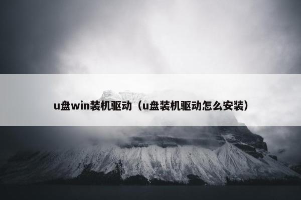 u盘win装机驱动（u盘装机驱动怎么安装）