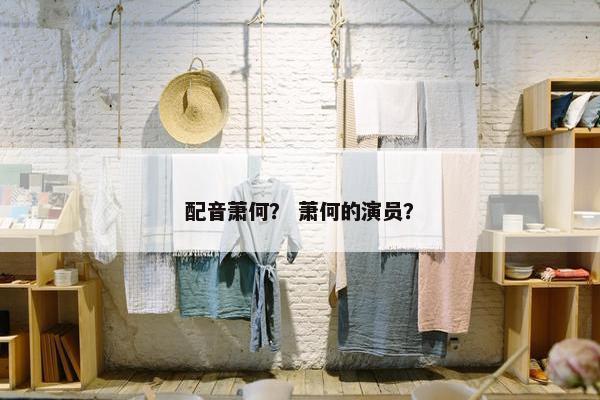 配音萧何？ 萧何的演员？