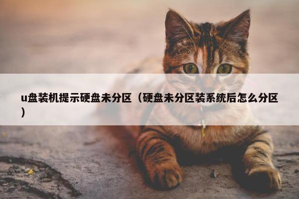 u盘装机提示硬盘未分区（硬盘未分区装系统后怎么分区）