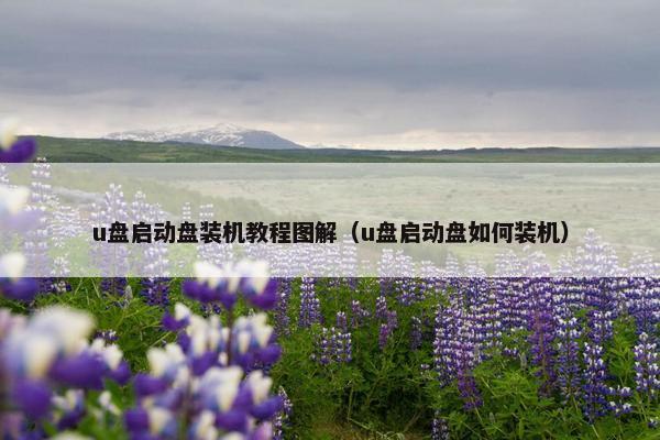 u盘启动盘装机教程图解（u盘启动盘如何装机）
