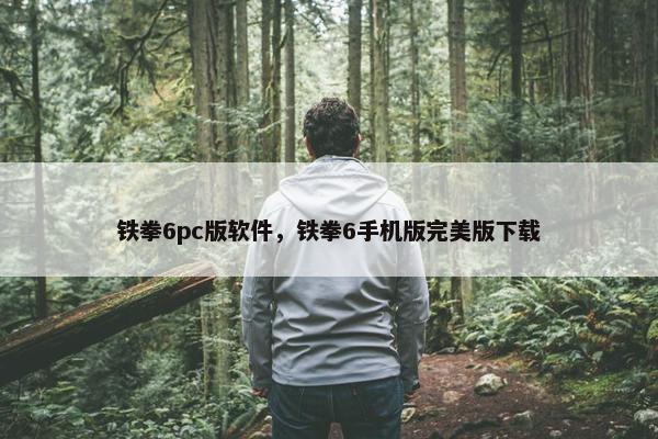 铁拳6pc版软件，铁拳6手机版完美版下载